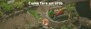 Come fare un orto